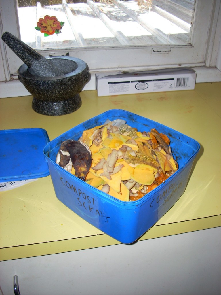 2009-10-17 Worm farm - 038 - kitchen scraps Kitchen scraps...aka worm food