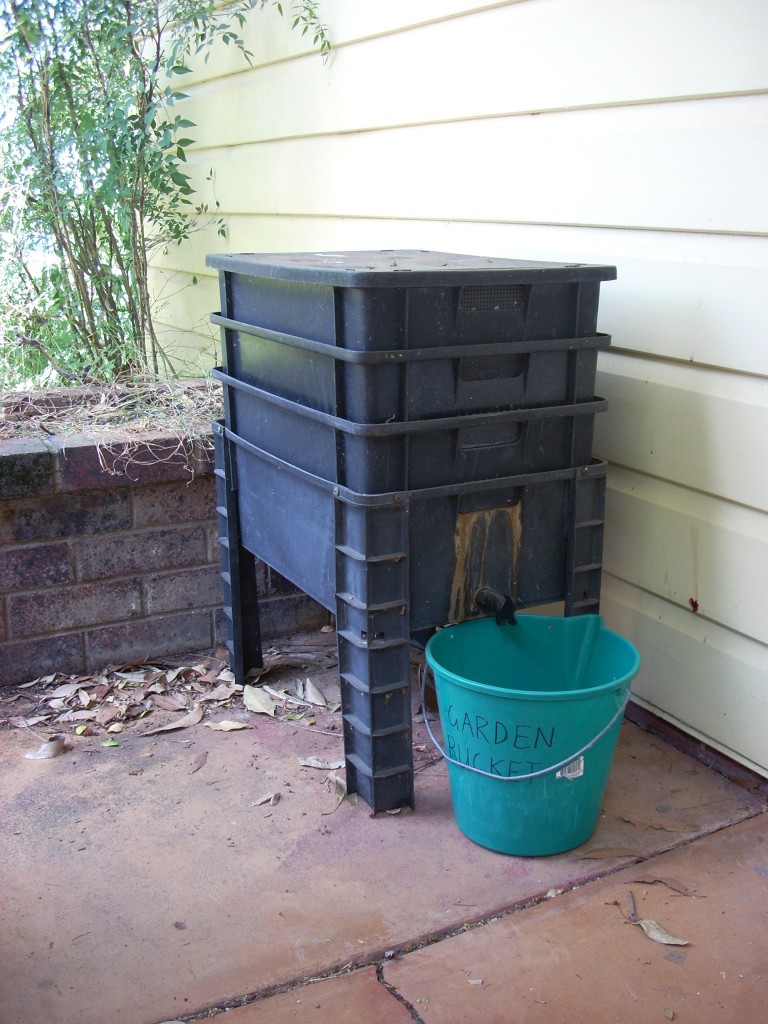 2009-10-17 Worm farm - 044 - worm farm Stuart's worm farm