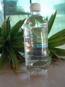 QR bottled water 1 QR It's Easy Being Green bottled water. Greenwash label.