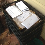 Thumbnail worm farm photo