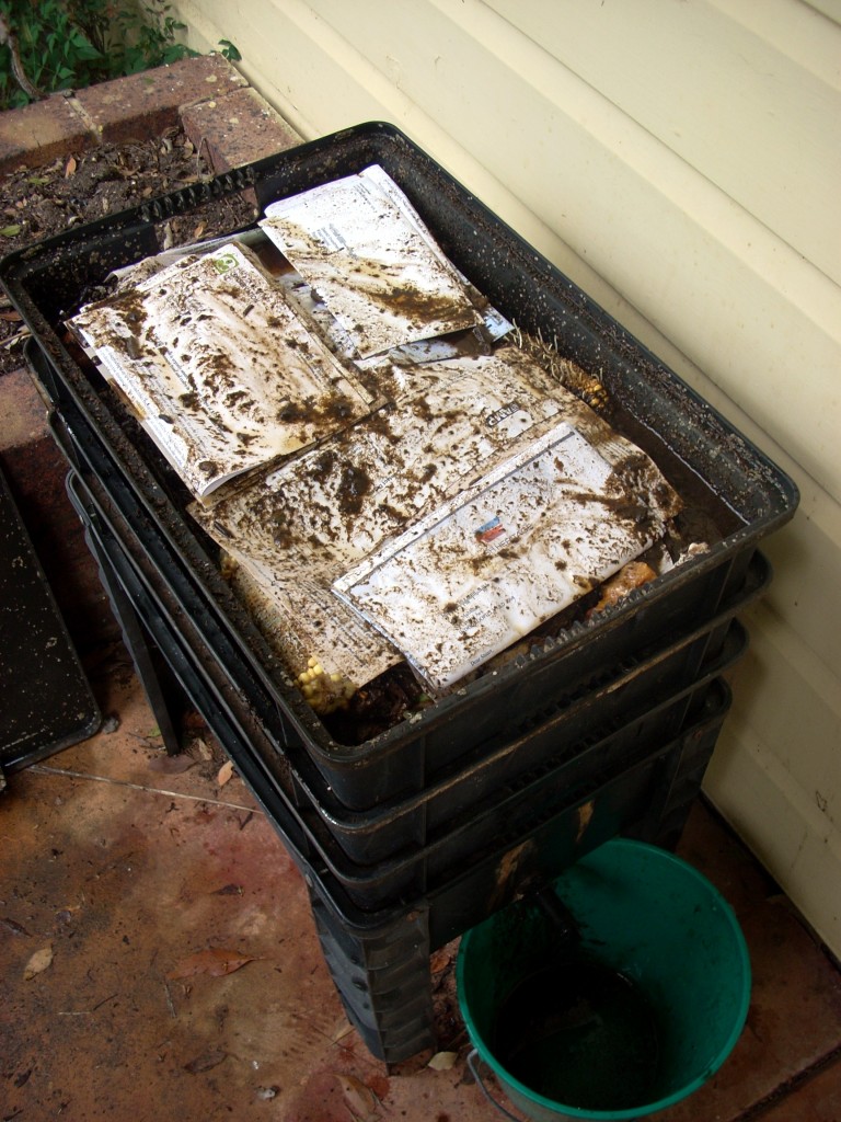 Worm farm - letters envelopes 2 Stuart's worm farm with envelopes and letters for document destruction with worm tea