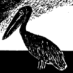 Cartoon oil slick pelican