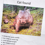 Cat Found poster