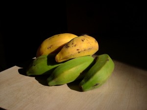 green_and_gold_banana_bunch Green and gold banana bunch