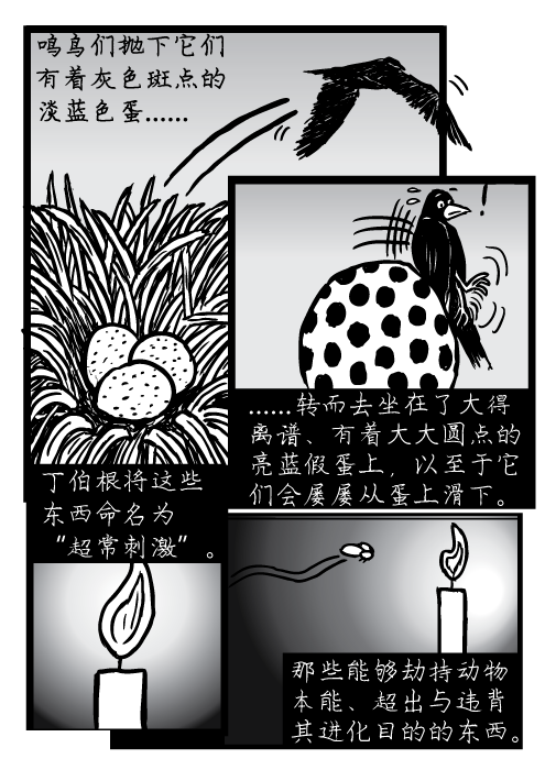 鸣鸟们抛下它们 有着灰色斑点的 淡蓝色蛋 转而去坐在了大得 离谱、有着大大圆点的 亮蓝假蛋上,以至于它 们会屡屡从蛋上滑下。丁伯根将这些 东西命名为 “超常刺激”。那些能够劫持动物 本能、超出与违背 其进化目的的东西。