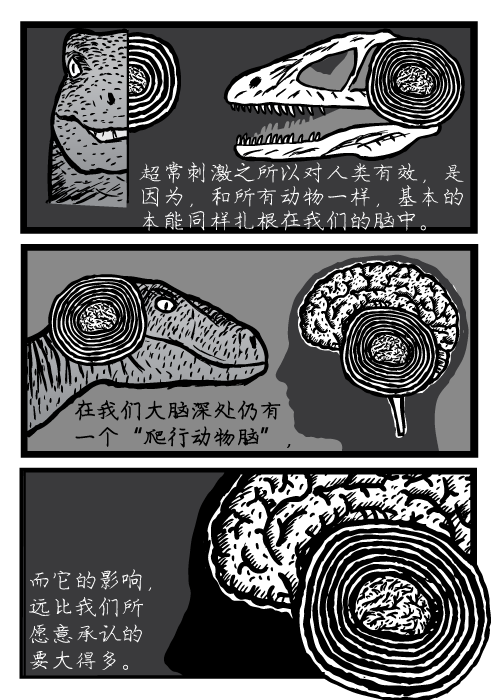 超常刺激，速龙，极度空间，大脑，超常刺激之所以对人类有效,是 因为,和所有动物一样,基本的 本能同样扎根在我们的脑中。在我们大脑深处仍有 一个“爬行动物脑”, 而它的影响, 远比我们所 愿意承认的 要大得多。