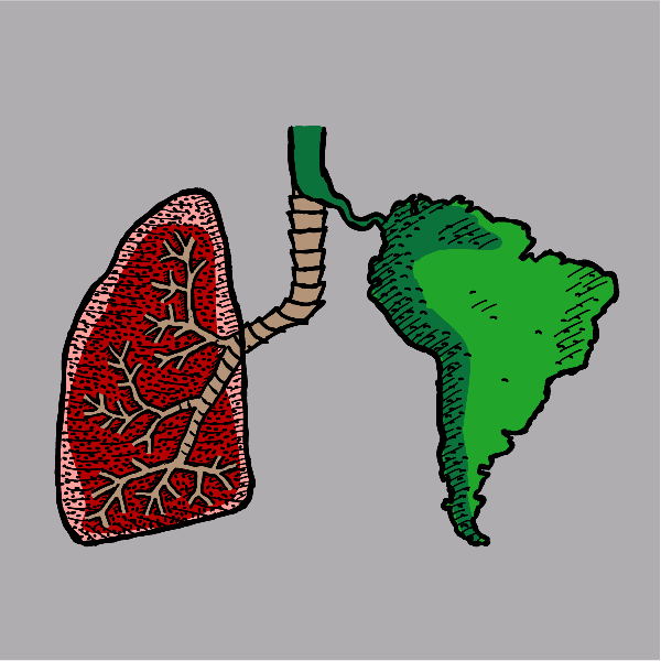 T-shirt graphic: Lung with South America Amazon