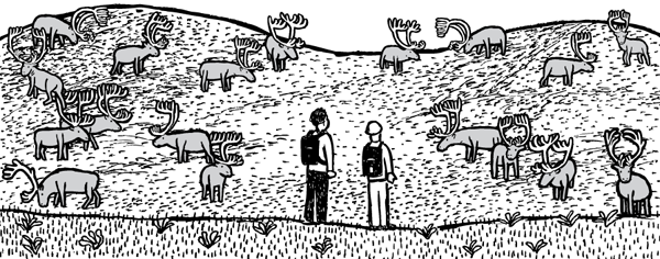 Researchers revisited St Matthew Island for the first time in the summer of 1957. The reindeer population had grown noticeably to 1,350 individuals. Researchers looking at many cartoon reindeer grazing. St Matthew Island comic by Stuart McMillen.