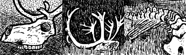 The island would have been littered with the skulls and antlers of 6,000 reindeer. Black and white reindeer skull. Cartoon artwork by Stuart McMillen.