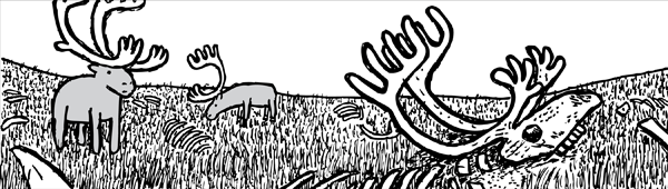 Only 42 reindeer remained alive after the population crash which killed 6,000 reindeer in one winter. The island was littered with skeletons. Reindeer skull drawing. Cartoon reindeer skeleton. Live caribou grazing in background. St Matthew Island.