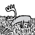 St Matthew Island reindeer thumbnail