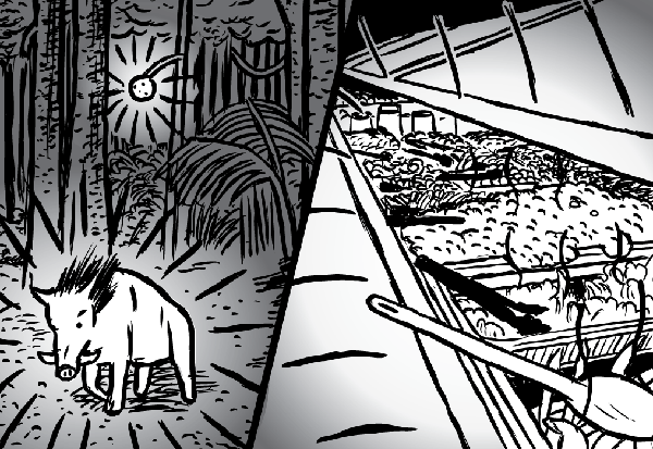 In the wild, food like fruit and wild boar was a rarity which screamed out to us amongst the backdrop. Now supernormal food is everywhere. Salad bar drawing versus wild food cartoon. Wild boar and fruit.