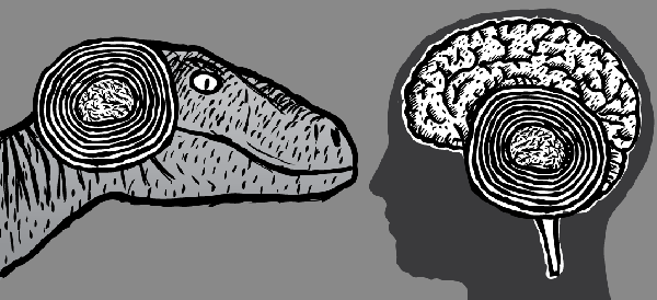 Human brain versus raptor brain. Velociraptor looking at human brain. Cartoon raptor drawing.