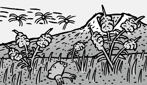 Many Northern Pocket Gophers survived the blast in their underground tunnels. They played an important role in loosening the soil of Mount St. Helens. Also important were the wind-sown seeds. Cartoon gopher pokes head above ground near mountain. Black and white drawing of ecosystem recovery.