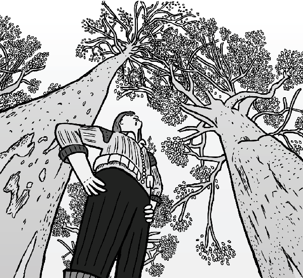 Van Helmont stands under some mighty trees. Or is that Gulliver? Low angle cartoon man standing above viewer. Looking up towards tree tops.