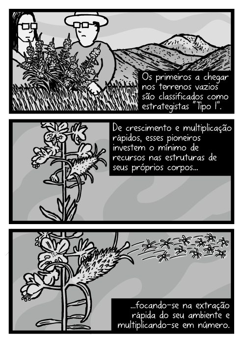 Desenho ervas daninhas soprando sementes. Cartum ervas daninhas. Os primeiros a chegarem nos terrenos vazios são classificados como estrategistas “Tipo I”. De crescimento e multiplicação rápidos, esses pioneiros investem o mínimo de recursos nas estruturas de seus próprios corpos...focando-se na extração rápida do seu ambiente e multiplicando-se em número.