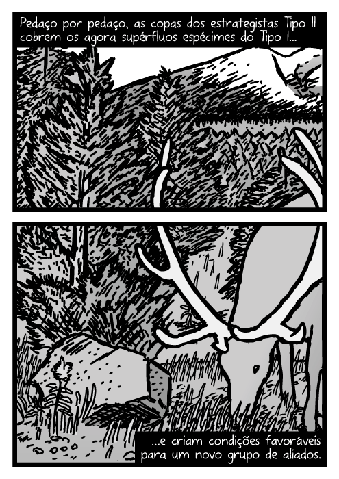 Cartum de floresta de jovens pinheiros. Desenho de alce comendo grama. Pedaço por pedaço, as copas dos estrategistas Tipo II cobrem os agora supérfluos espécimes do Tipo I…e criam condições favoráveis para um novo grupo de aliados.