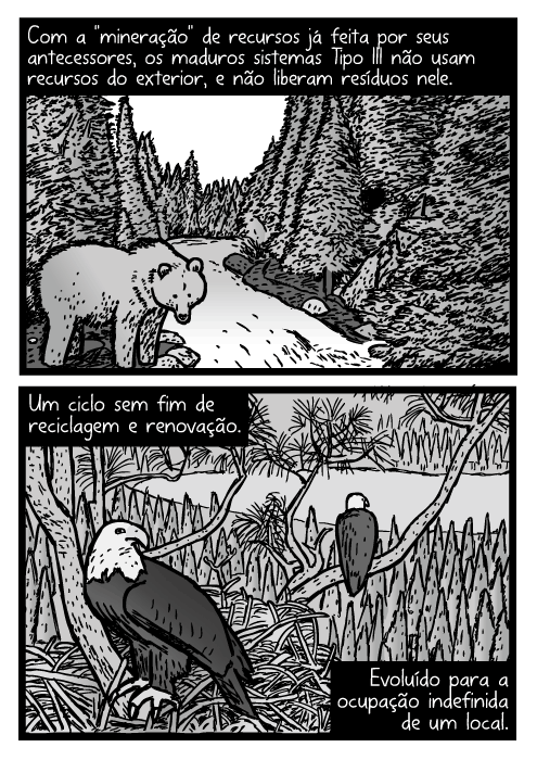 Cartum de urso da montanha em um córrego. Desenho do ninho de uma águia. Com a "mineração" de recursos já feita por seus antecessores, os maduros sistemas Tipo III não usam recursos do exterior, e não liberam resíduos nele. Um ciclo sem fim de reciclagem e renovação. Evoluído para a ocupação indefinida de um local.