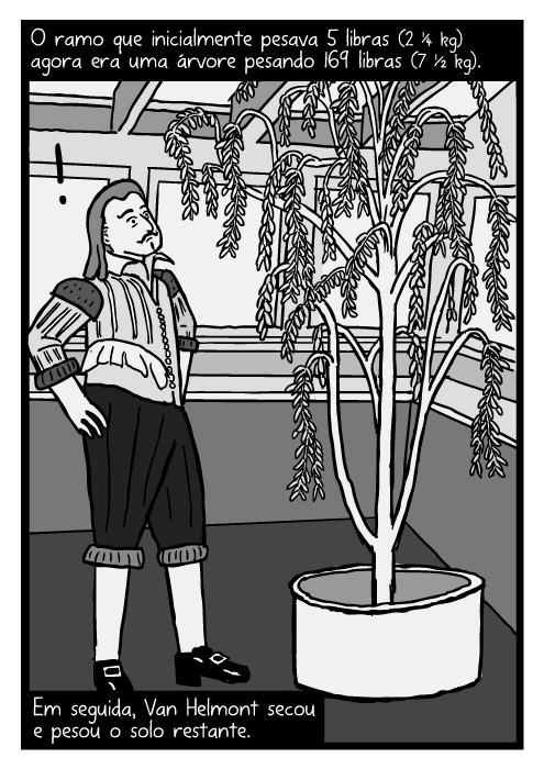 Cartum Jean Baptista van Helmont. Desenho salgueiro Van Helmont. O ramo que inicialmente pesava 5 libras (2 ¼ Kg) agora era uma árvore pesando 169 libras (7 ½ Kg). Em seguida, Van Helmont secou e pesou o solo restante.