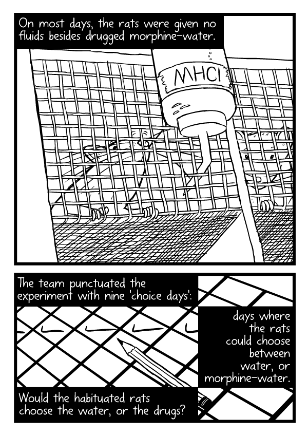 Rat Park comic by Stuart McMillen - page 26 (unfinished - line art only) Rat Park comic by Stuart McMillen - page 26 (unfinished - line art only)