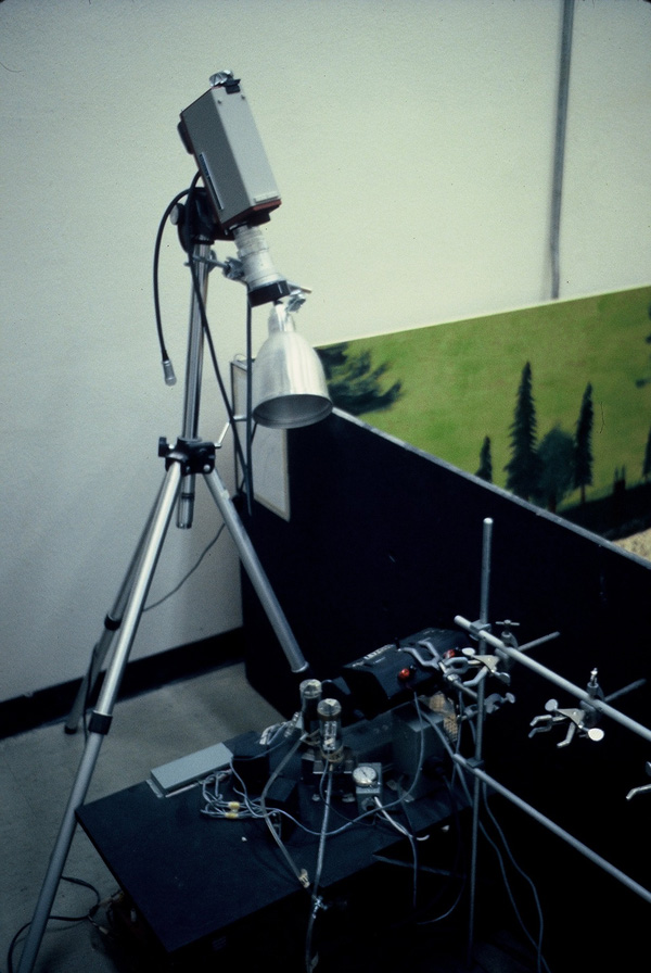The video camera/digital counter setup used by the Rat Park researchers to monitor the fluid consumption of the rats in the tunnel. Rat Park science experiment camera setup. Camcorder used to photograph the rats in the tunnel drinking morphine.