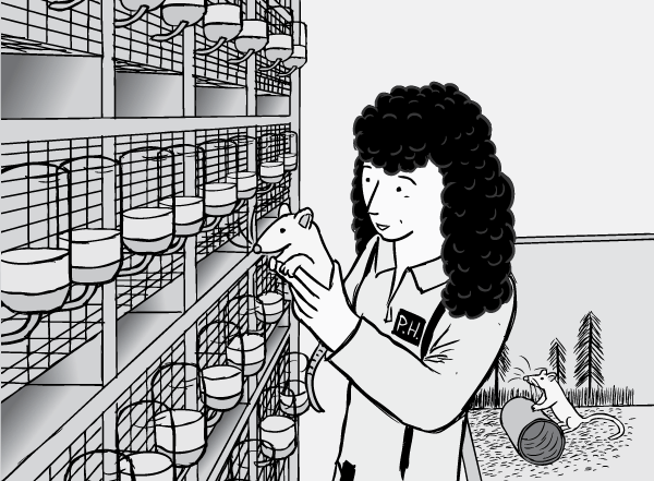 Patricia Hadaway holding a rat from the experiment. Drawing of Rat Park researcher Patricia Hadaway holding rat. Cartoon of laboratory cage racks and fluid bottles.