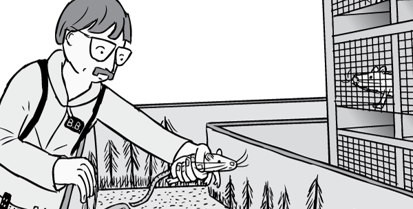 Barry Beyerstein places a rat into the Rat Park enclosure as a neighbouring rat overlooks. Cartoon Barry Beyerstein with glasses and moustache puts rat into Rat Park enclosure. Black and white drawing of science experiment.