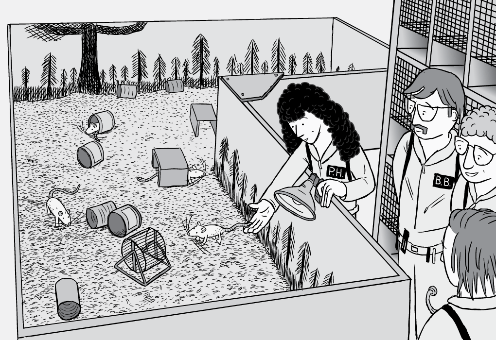 Κόμικ για πείραμα με ναρκωτικά σε Πάρκο Αρουραίων, ασπρόμαυρη από ψηλά λήψη ερευνητών και αρουραίου κλεισμένου, κόμικ με αρουραίους, κουτιά αναψυκτικών, τροχοί για ποντικούς, ζωγραφιά γυναίκα επιστήμονας βάζει αρουραίο σε κελί.