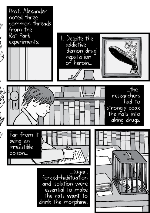 Cartoon Bruce Alexander man sitting in office at writing desk. Prof. Alexander noted three common threads from the Rat Park experiments: I : Despite the addictive 'demon drug' reputation of heroin...the researchers had to strongly coax the rats into taking drugs. Far from it being an irresistible poison...sugar, forced-habituation and isolation were essential to make the rats want to drink the morphine.