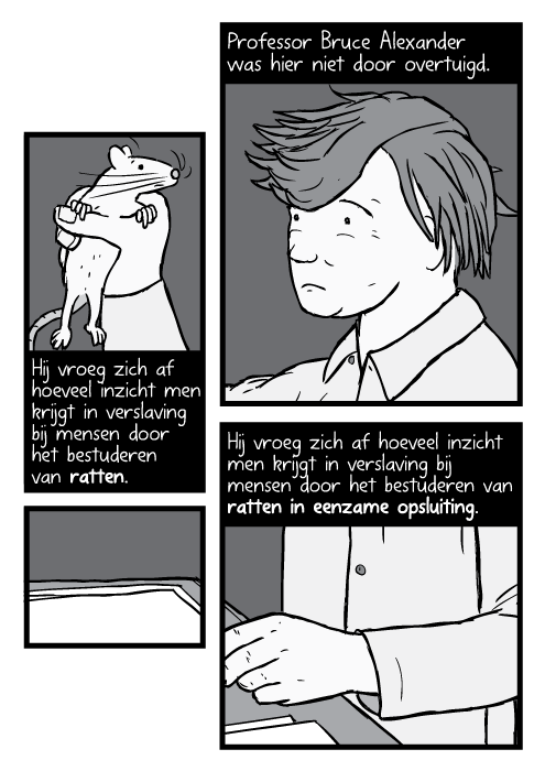 Strip Professor Bruce Alexander rat vasthoudt. Professor Bruce Alexander was hier niet door overtuigd.Hij vroeg zich af hoeveel inzicht men krijgt in verslaving bij mensen door het bestuderen van ratten.Hij vroeg zich af hoeveel inzicht men krijgt in verslaving bij mensen door het bestuderen van ratten in eenzame opsluiting.