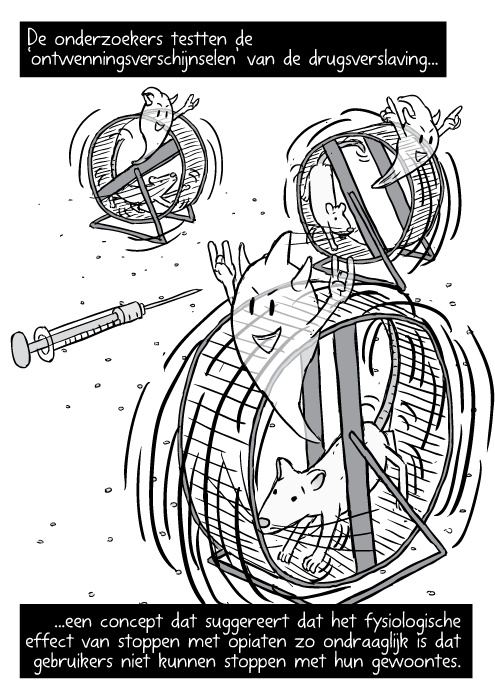 Ratten lopen in wielen tekening. Strip demon spoken boven ratten. De onderzoekers testten de ‘ontwenningsverschijnselen’ van de drugsverslaving...een concept dat suggereert dat het fysiologische effect van stoppen met opiaten zo ondraaglijk is dat gebruikers niet kunnen stoppen met hun gewoontes.