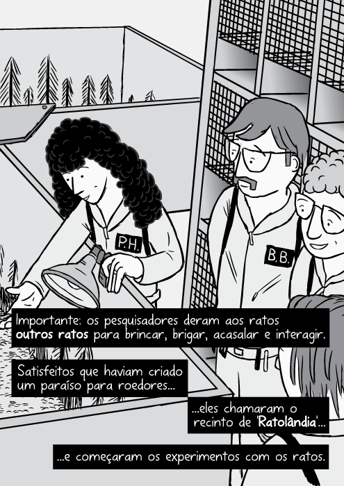 Cartum pesquisadores Ratolândia ângulo alto gaiolas laboratório. Importante: os pesquisadores deram aos ratos outros ratos para brincar, brigar, acasalar e interagir. Satisfeitos que haviam criado um paraíso para roedores...eles chamaram o recinto de 'Ratolândia'...e começaram os experimentos com os ratos.
