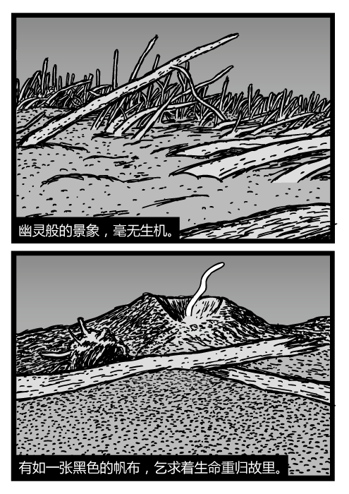 圣海伦斯山卡通。倒下的树干埋在火山灰中。狂风肆虐的死亡区。幽灵般的景象，毫无生机。有如一张黑色的帆布，乞求着生命重归故里。