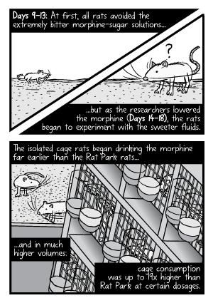 Rat Park comic page: Cartoon of the caged and enclosure rats. The Rat Park rats resisted the temptation to take drugs. Rat Park experiment comic: The isolated cage rats began drinking the morphine far earlier than the Rat Park rats.