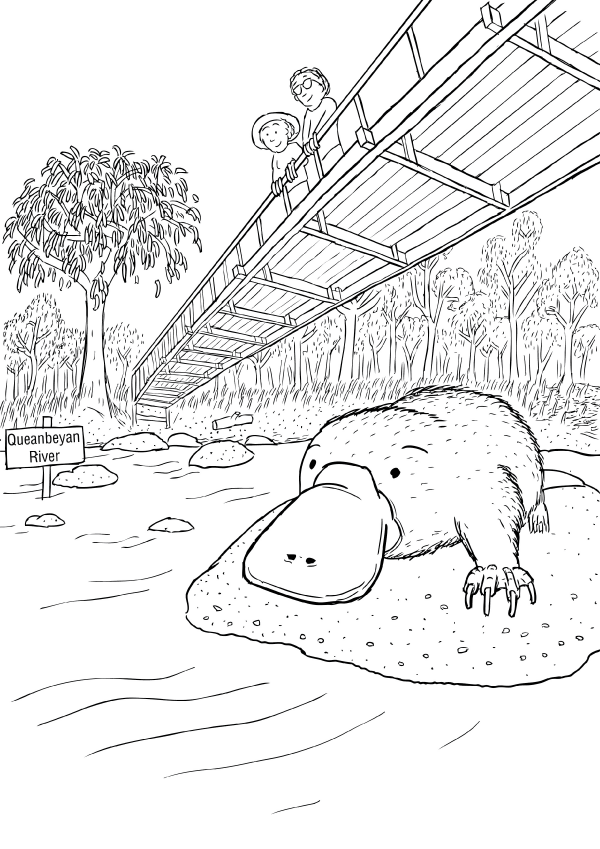 Cartoon of platypus on river's edge. A man and woman watch from a bridge above. Cartoon low-angle scene of platypus on river rock. People and woman looking down from bridge overhead.