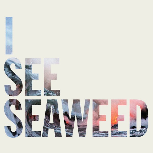 The Drones - "I See Seaweed " album cover The Drones - I See Seaweed