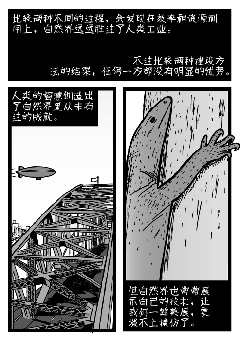 悉尼港大桥上空的飞艇。蜥蜴爬树的卡通。比较两种不同的过程，会发现在效率和资源利用上，自然界远远胜过了人类工业。不过比较两种建设方法的结果，任何一方都没有明显的优势。人类的智慧创造出了自然界里从未有过的成就。但自然界也常常展示自己的技术，让我们一筹莫展，更谈不上模仿了。