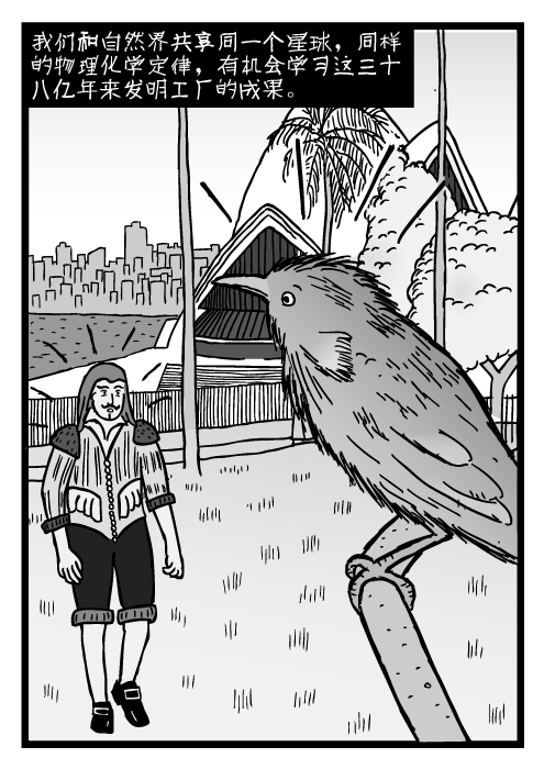 悉尼歌剧院附近树上的鸟。悉尼港口惊讶的人。我们和自然界共享同一个星球，同样的物理化学定律，有机会学习这三十八亿年来发明工厂的成果。