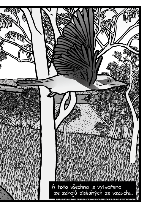 Agama ještěr ledňák pták komiks. A toto všechno je vytvořeno ze zdrojů získaných ze vzduchu.