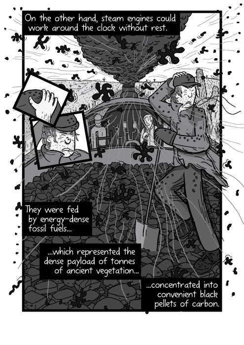 Cartoon man standing on coal tender, as steam train drives. On the other hand, steam engines could work around the clock without rest. They were fed by energy-dense fossil fuels, which represented the dense payload of tonnes of ancient vegetation concentrated into convenient black pellets of carbon.