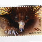 Echidna 70 cent postage stamp Australia