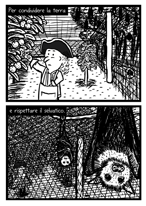 Vignetta su raccolta frutta. Disegno di pipistrello della frutta. Frutteto retato. Per condividere la terra e rispettare il selvatico.