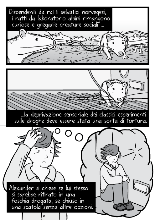 Vignetta di ratti dentro gabbia. Disegno di uomo dentro una cella, esperimento sulle droghe. Discendenti da ratti selvatici norvegesi, i ratti da laboratorio albini rimangono curiosi, gregarie sociali creature la deprivazione sensoriale dei classici esperimenti sulle droghe deve essere stata una sorta di tortura. Alexander si chiese se lui stesso si sarebbe ritirato in una foschia drogata, se chiuso in una scatola senza altre opzioni.