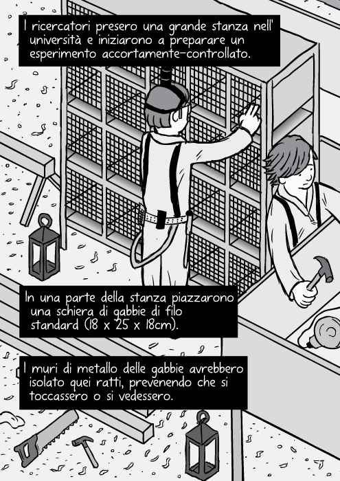 Disegno isometrico delle laboratorio con le scaffalature di gabbie. I ricercatori presero una grande stanza nell' università e iniziarono a preparare un esperimento accortamente-controllato. In una parte della stanza piazzarono una schiera di gabbie di filo standard (18 x 25 x 18cm). I muri di metallo delle gabbie avrebbero isolato quei ratti, prevenendo che si toccassero o si vedessero.