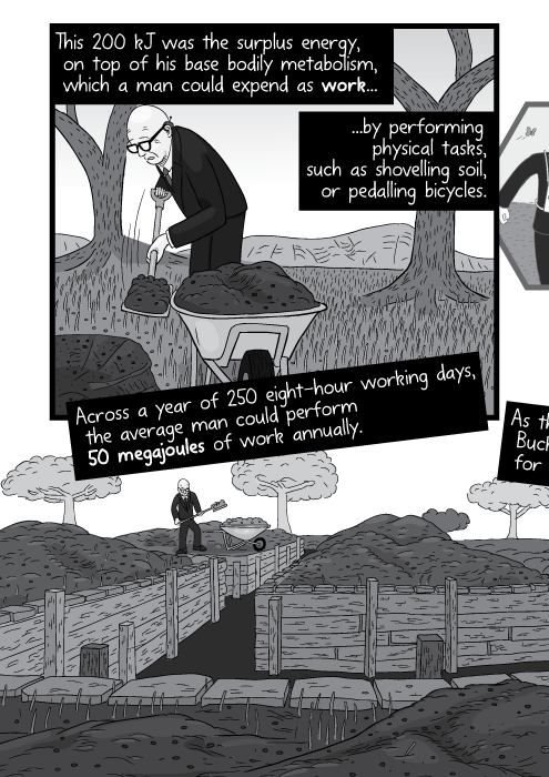 This 200 kJ was the surplus energy, on top of his base bodily metabolism, which a man could expend as work... ...by performing physical tasks, such as shovelling soil, or pedalling bicycles. Across a year of 250 eight-hour working days, the average man could perform 50 megajoules of work annually.